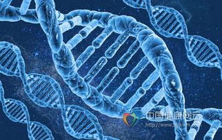 科学家揭示多发性硬化症与古代 DNA 病毒之间可能的神秘联系