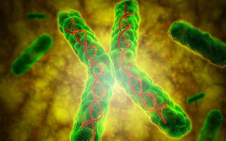 科学家揭示多发性硬化症与古代 DNA 病毒之间可能的神秘联系