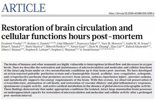 广州科学家研究猪脑：五分钟后仍可复活，打破传统认知界限