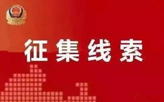 青岛中院悬赏990万，公开征集案件线索！