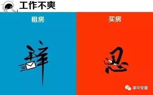 合肥严正立场：无论是谁第三方插手都绝不容忍