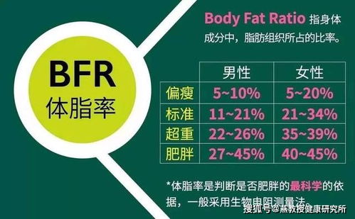 你需要了解的12个关键指标：判断肾脏健康的方法