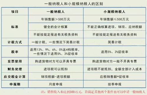 你需要了解的12个关键指标：判断肾脏健康的方法