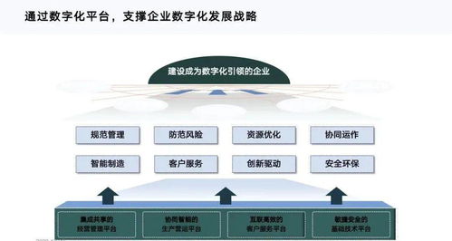 数字化转型中的欧洲人：与中国老板的金矿之旅