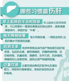 女生必备的五个步骤，优化后的轻松解决便秘困扰，女性必备5步解决便秘，享受丝滑顺畅排便体验。