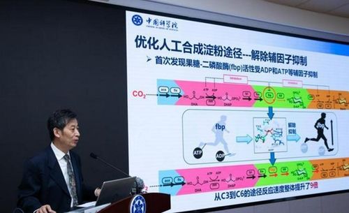 刘永谋：深度解析意识理论，探寻科学之路

阅读IIT理论，探寻意识的科学解释