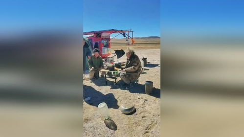 专家警告：不可口可乐喂食可可西里头狼将使生物多样性和生态平衡面临威胁