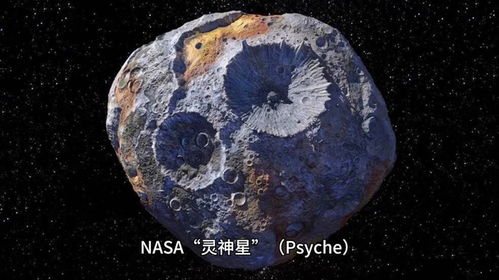 探索小行星的神秘世界：详细解析其环境与生态