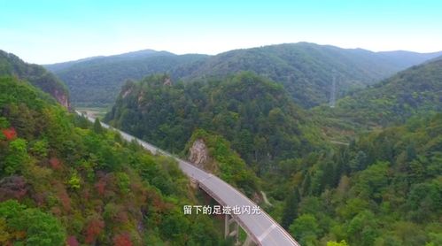 挑战自我：从白山市区开始的精彩旅程 - 途经G331并欣赏沿途风景