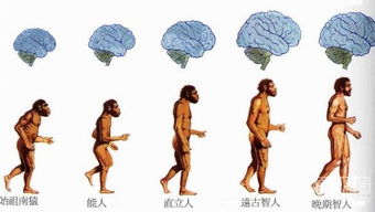 解开牛进化历程：世界顶级科学家揭示古代原牛种群遗传史