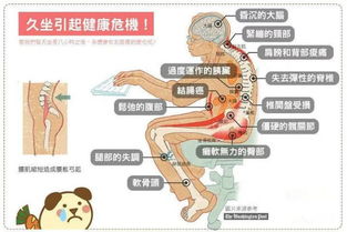 探讨高血脂与阿尔茨海默症的潜在关系：一名心脏病专家详解