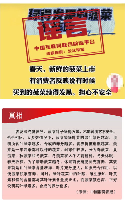 今日辟谣（2024年11月1日）：关于网络谣言的最新澄清和应对策略