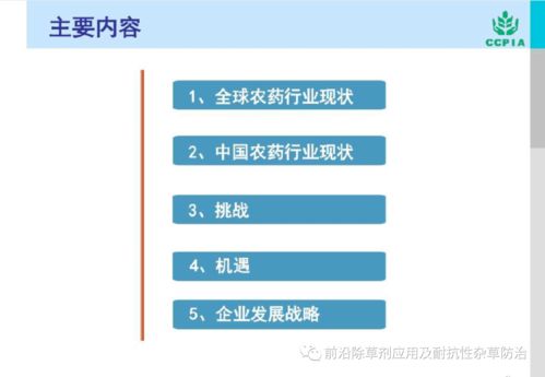 荣耀渠道的进攻策略：再下一城，挑战互联网手机市场的新格局