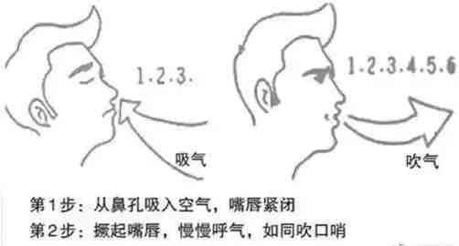 训练指南：正确的胸部和腹部呼吸方式，让你在运动中更有效率