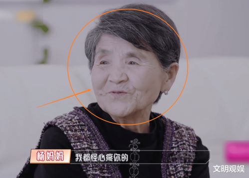 杨子：为何选择与黄圣依离婚而非离开娱乐圈