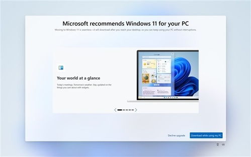 微软将于2025年10月14日终止对Windows 10系统的支持服务，您的系统将面临重大更新