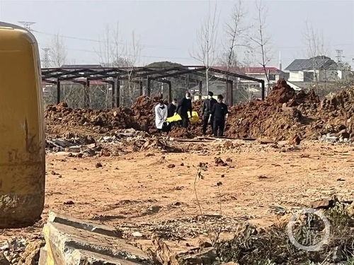 女子勇敢保护孩子被野猪撞倒，案发地点并非上海市青浦区