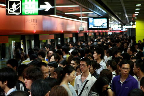 数千郑州大学生骑行数百公里，避开拥挤通勤与门票高昂 - 郑州大学“夜奔开封”活动详解