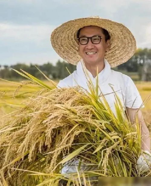 江苏昔日亿万富翁因贪腐被判刑三年，年逾八旬坐拥四家上市企业