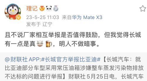 比亚迪否认起诉！详细回应：公司不存在欺诈行为