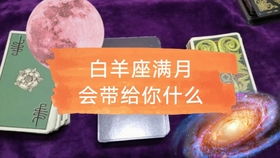 苏珊米勒2024年11月7日星座运势及建议