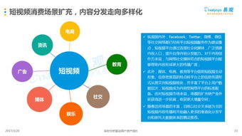 2024年11月8日午盘观点与教学：互联网信息整理与分析