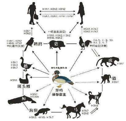 科学家揭示跨能量尺度原子核结构新奥秘，开创科学新篇章