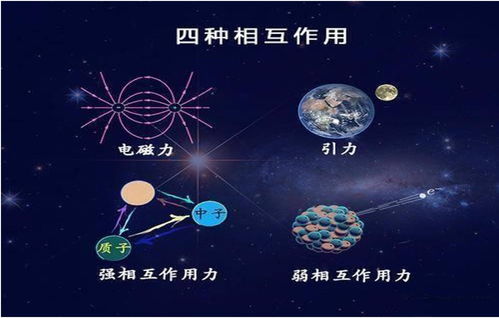 科学家揭示跨能量尺度原子核结构新奥秘，开创科学新篇章