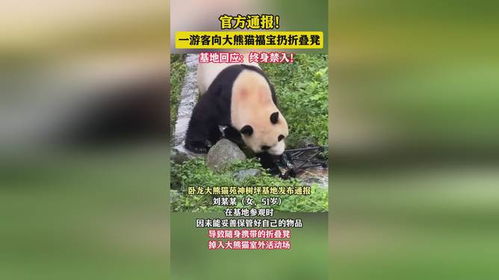 8岁娃因非法游玩被终身禁入熊猫基地：给孩子的是什么教育?