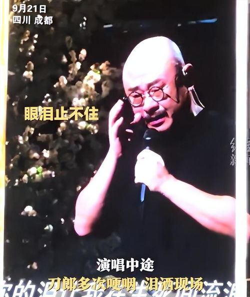 四太梁安琪现身刀郎演唱会：朴素接地气的打扮，与观众打成一片