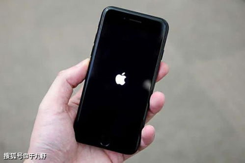 警方破解：发现新型苹果iPhone功能，实则为iOS 18.1更新