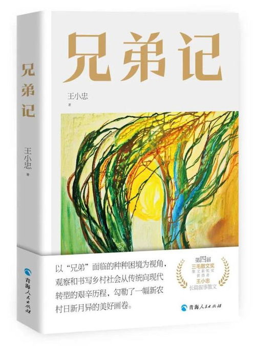 骏马奖作品精选：王小忠的《兄弟记》阅读指南