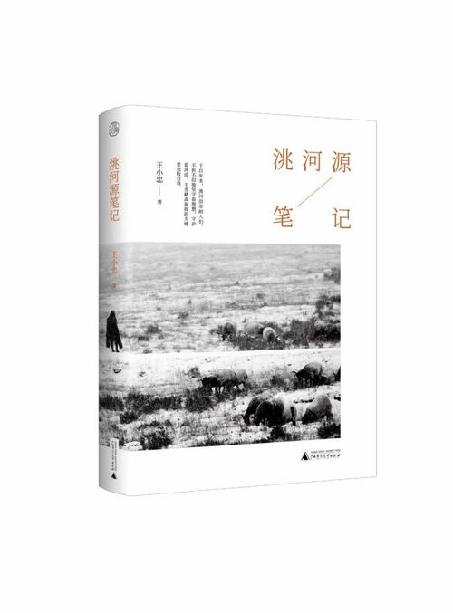 骏马奖作品精选：王小忠的《兄弟记》阅读指南