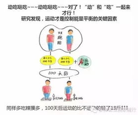 大学生三个月减肥20斤：脂肪肝变重度，又该如何进行有效干预与治疗？