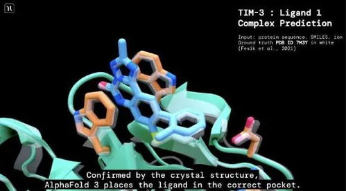 深度学习巨头DeepMind开源最新成果：AlphaFold 3，助力科学发现与药物研发加速进展