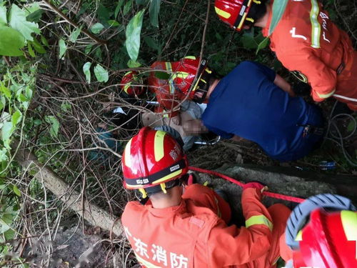 寻找失踪孩子：暖心警官深夜搜山一宿，感人至深的寻人故事发生在陕北榆林榆阳