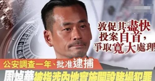 胶佬最窒息的时刻：模型被老婆砸塌，网友们的评论真让人泪目