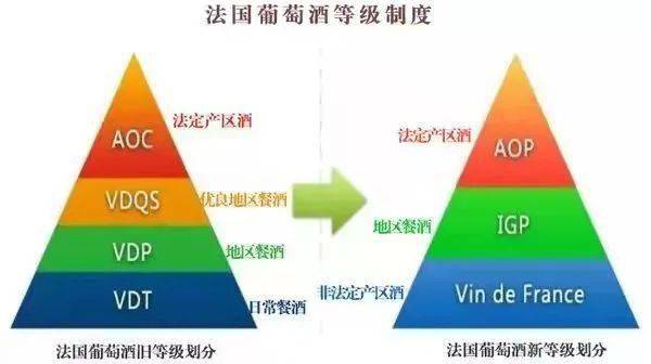 欧盟杯结束后：欧洲优质教育资源的中国引进计划开始实施