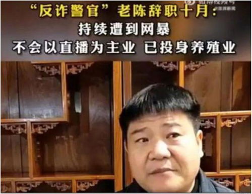 反诈老陈：辞职后悔不已，感叹现实与过去的差距