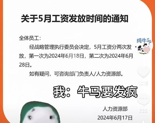 重庆互联网巨头：八戒网出现欠薪纠纷，网友热议猪八戒网状况