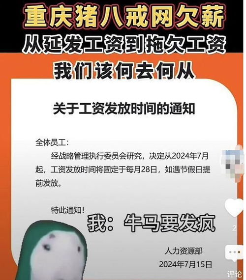 重庆互联网巨头：八戒网出现欠薪纠纷，网友热议猪八戒网状况