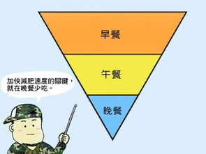 针对你的身体状况和目标定制的九种科学有效的饮食减肥方法——哪种最适合你?