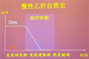 乙型肝炎治疗新进展：抗体/siRNA组合疗法的最新研究成果公布