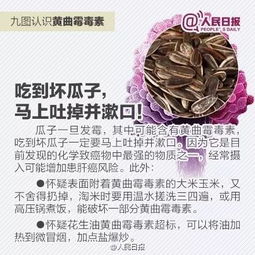 女孩因误食危险食品丧命：这是致命毒素，比砒霜还要毒68倍！你的食物安全吗？