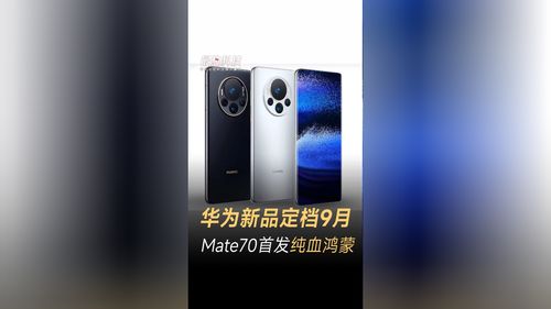 华为Mate 70发布会时间定档：首次纯血鸿蒙系统将开启全新体验