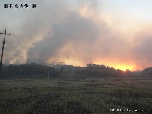 游客夜爬大牯牛山纵火事件目击者的叙述：被劝阻无效，他们依旧围火玩耍