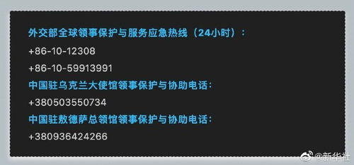 实时：战况严峻，乌全国24小时的生活实录

战局紧绷，乌克兰全境实录：1000天的坚守与挣扎

乌24小时实录：逾千日战争的波折与艰难时刻

世界忘记我们的日子：俄乌冲突下的国家实录