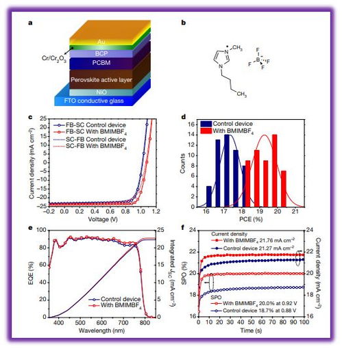 Nature发表最新研究：长期体重过重可能与遗传基因有关，让减肥成果难以持久