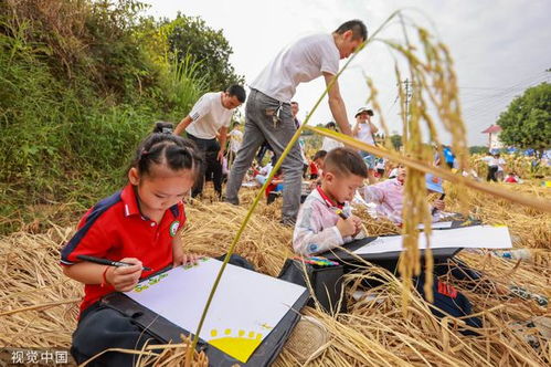 孩子们与家长共同参与的秋收活动：体验并学习丰收的乐趣