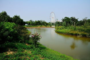 西安秋色如画，游客稀少热门景点免费开放